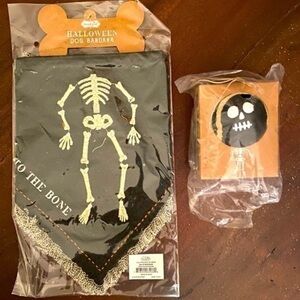 Halloween Skeleton Pet Bandana and Ball Set